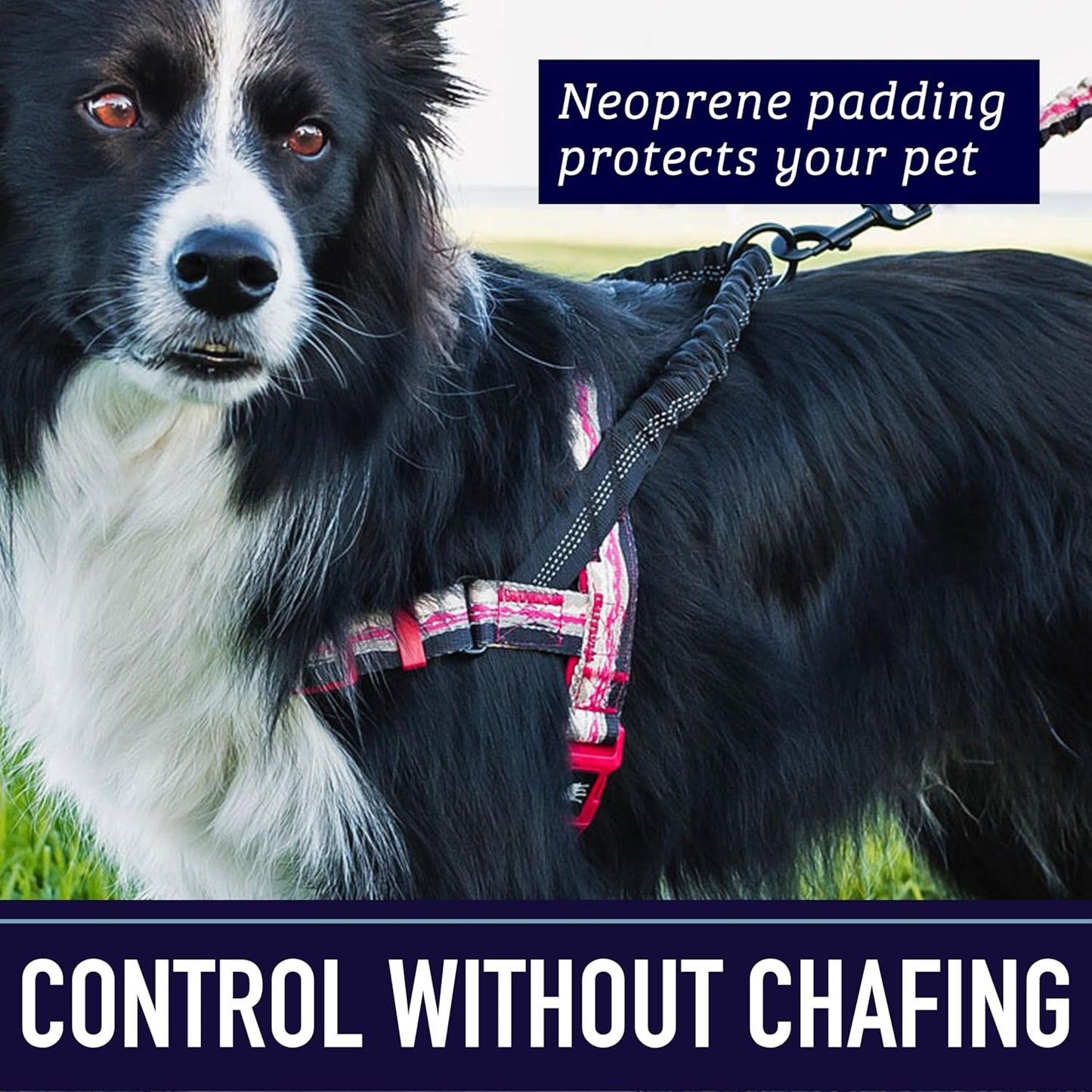No Pull Dog Harness, Easy Walk for Small, Medium, and Large Pets, Reflective with Rear and Front Clip Attachment (Wave Pattern, Medium)