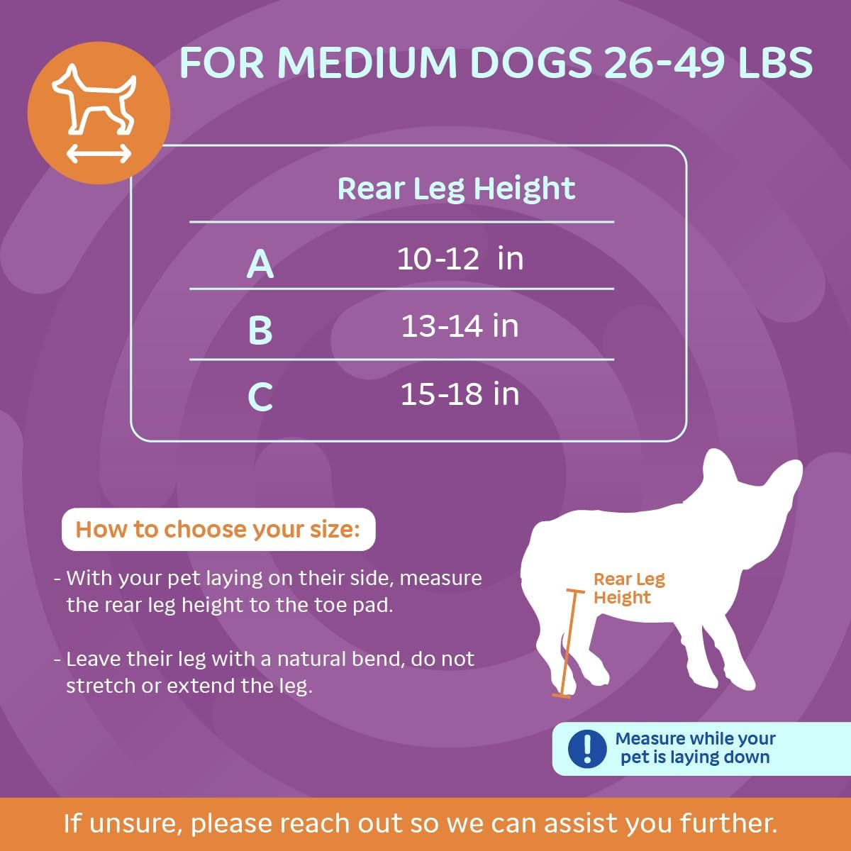 Dog Wheelchair - for Medium Dogs 26-49 Lbs - Veterinarian Approved - Dog Wheelchair for Back Legs