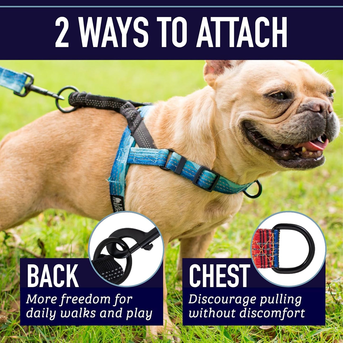 No Pull Dog Harness, Easy Walk for Small, Medium, and Large Pets, Reflective with Rear and Front Clip Attachment (Wave Pattern, Medium)