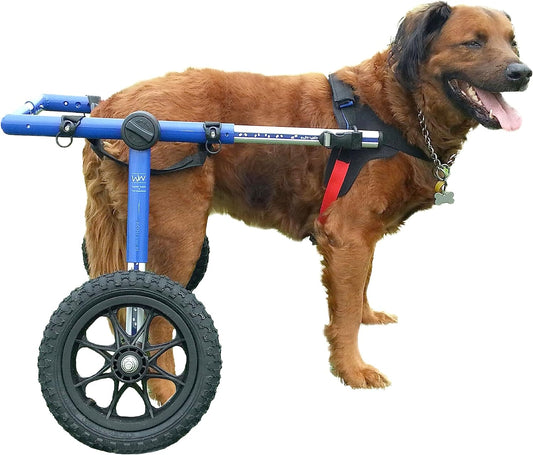 Dog Wheelchair - for Large Dogs 70-180 Pounds - Veterinarian Approved - Dog Wheelchair for Back Legs