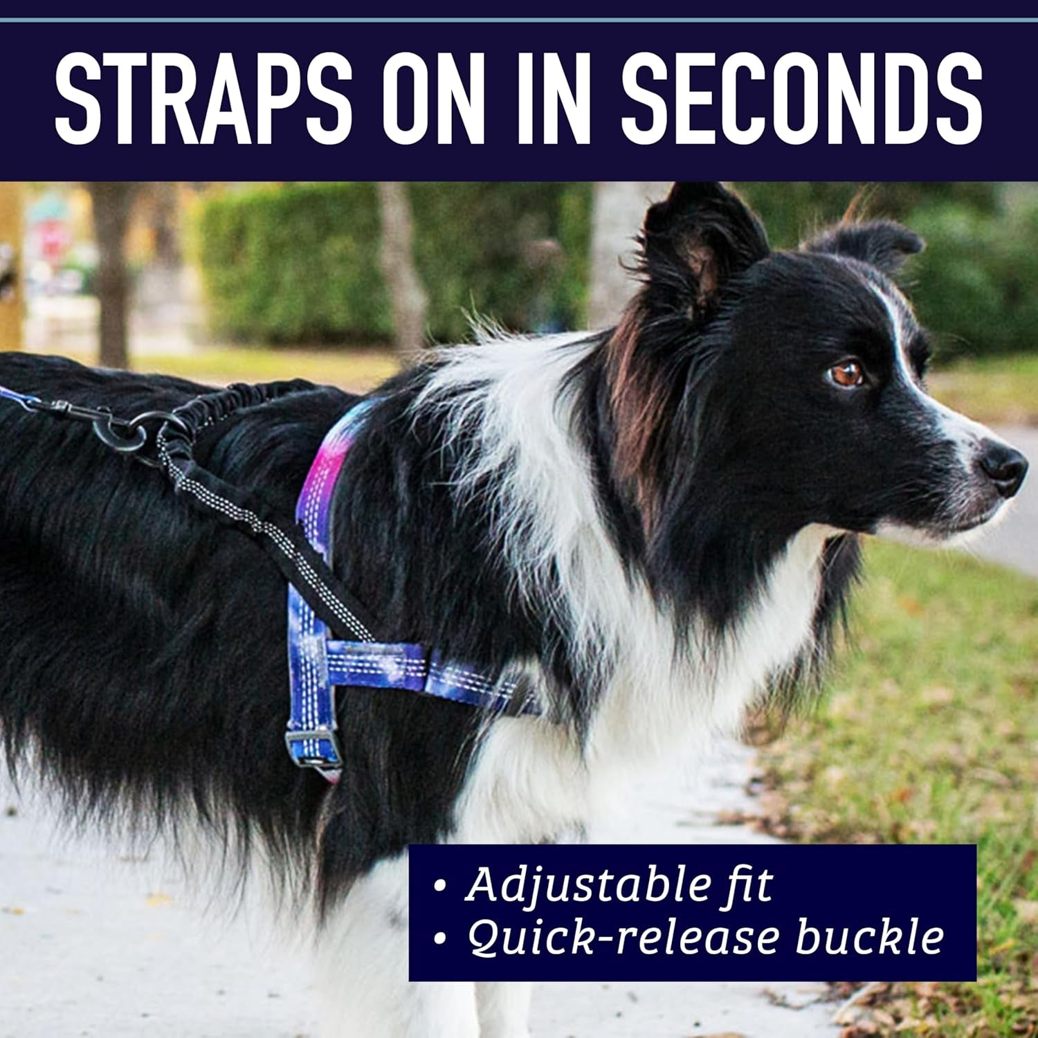No Pull Dog Harness, Easy Walk for Small, Medium, and Large Pets, Reflective with Rear and Front Clip Attachment (Wave Pattern, Medium)