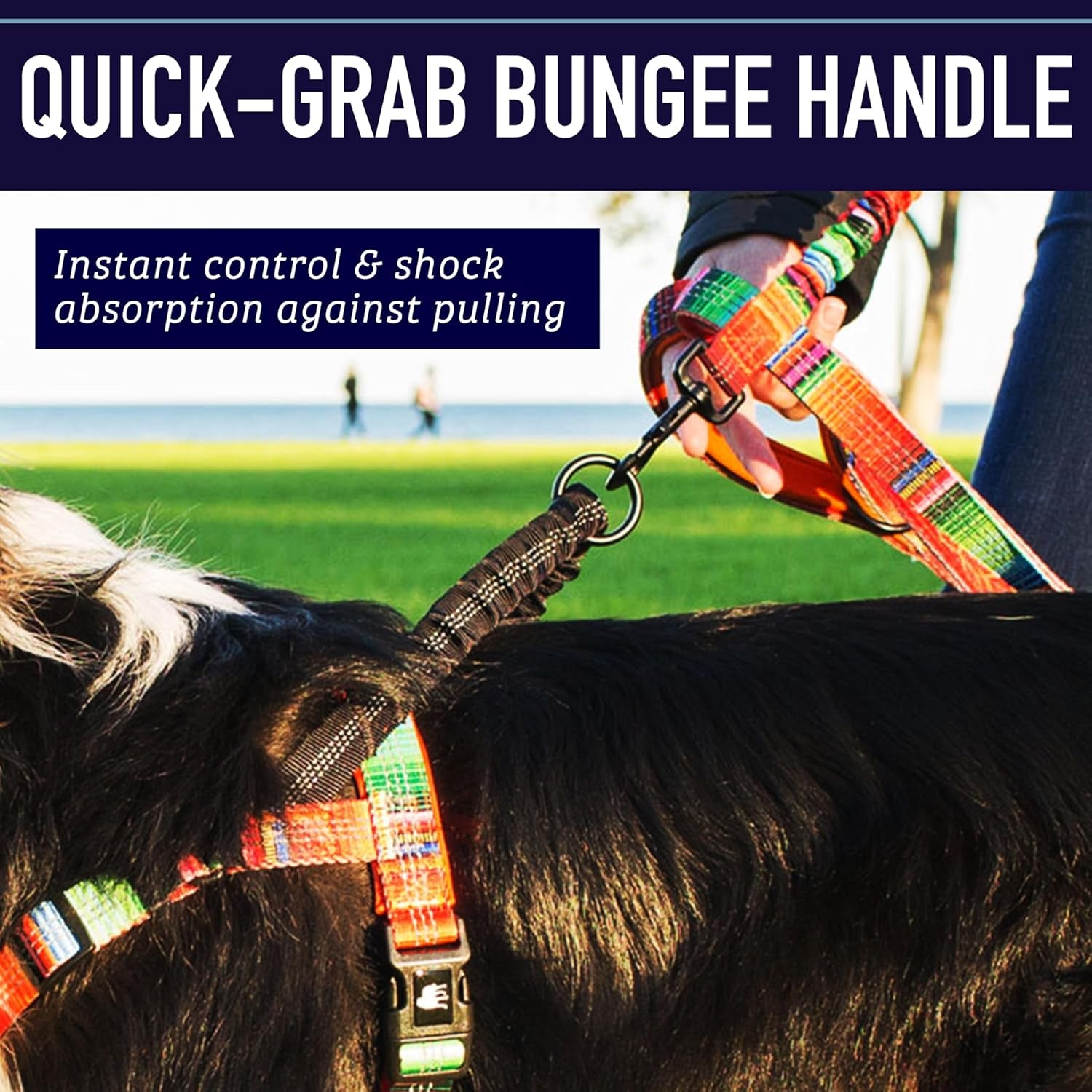 No Pull Dog Harness, Easy Walk for Small, Medium, and Large Pets, Reflective with Rear and Front Clip Attachment (Wave Pattern, Medium)