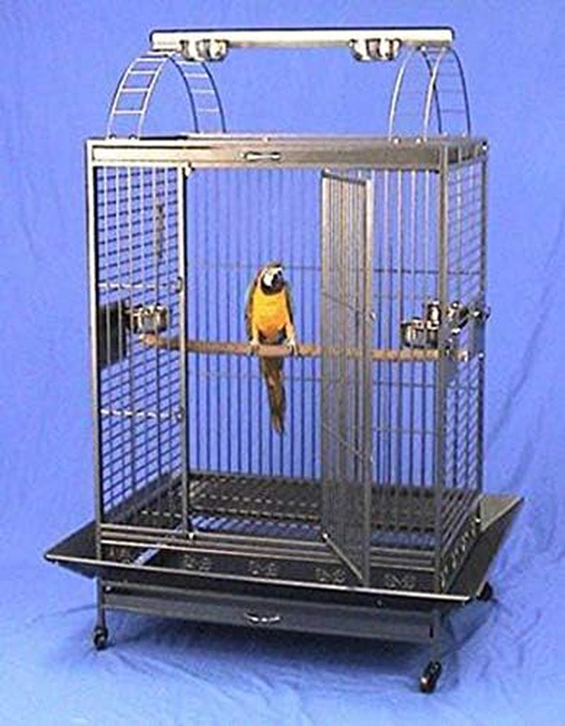 X Large Double Ladders Open Playtop Wrought Iron Bird Parrot Cage, 36"X26"X68"H (Black Vein)