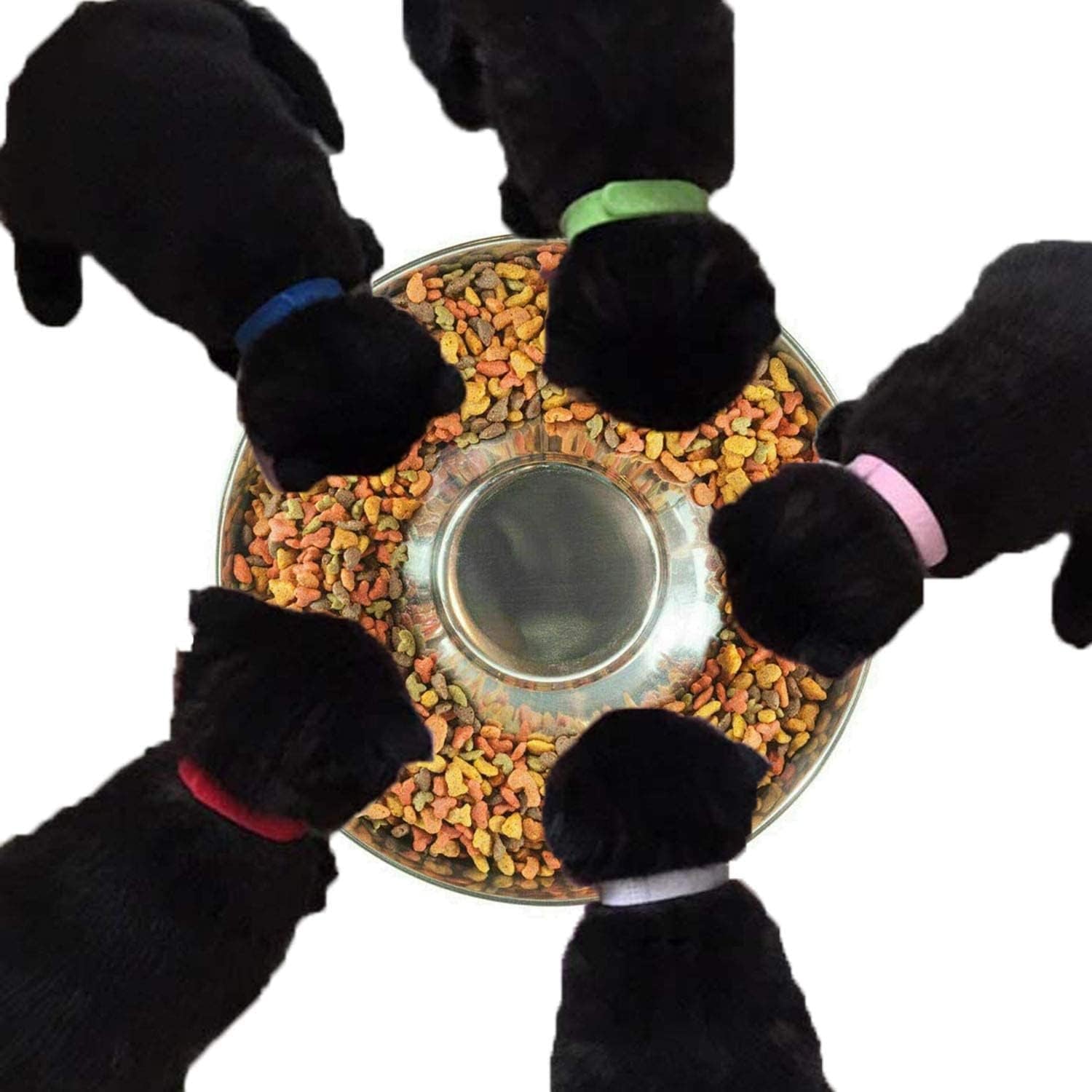 Stainless Steel Puppy Weaning Bowls,Cat Bowls for Food Water,Multiple Puppies Feeder Whelping Dishes,Litter Feeding Station Pans for Small Dogs Cats Eating at Same Time-Small Medium Large Size