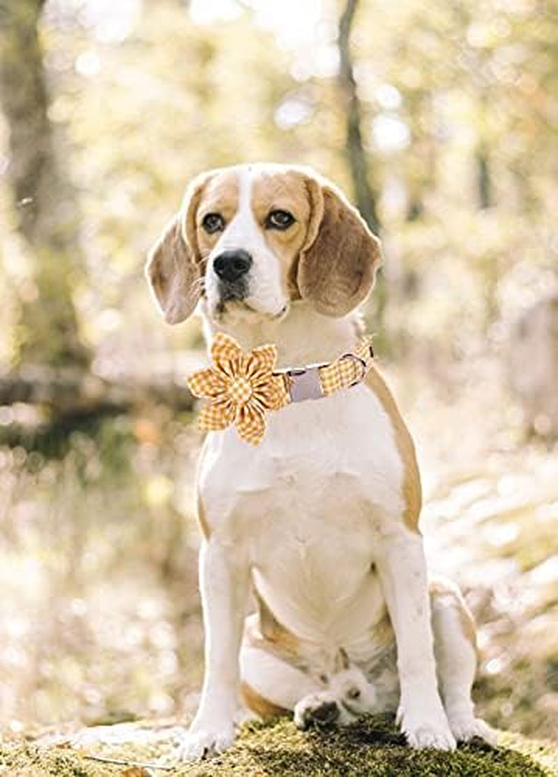 Dog Collar with Flower, Soft and Comfortable, Adjustable Collar for Large Dogs Girl, Neck 16-24 Inches
