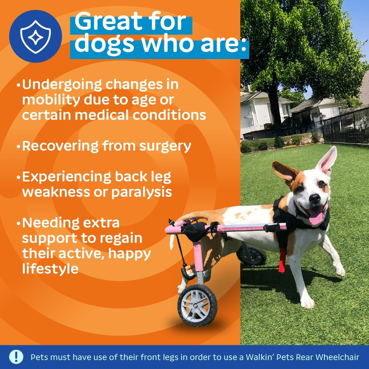 Dog Wheelchair - for Medium Dogs 26-49 Lbs - Veterinarian Approved - Dog Wheelchair for Back Legs