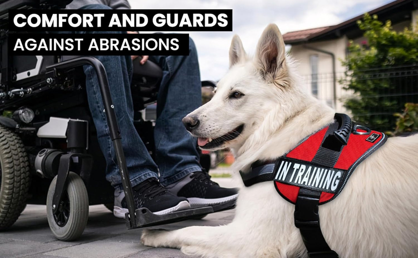 Service Dog in Training Vest - Adjustable No Pull Dog Harness with Patches. in Training Dog Vest for Service Dogs Small, Medium and Large Easy On/Off Dog in Training Harness for Service Dog Training