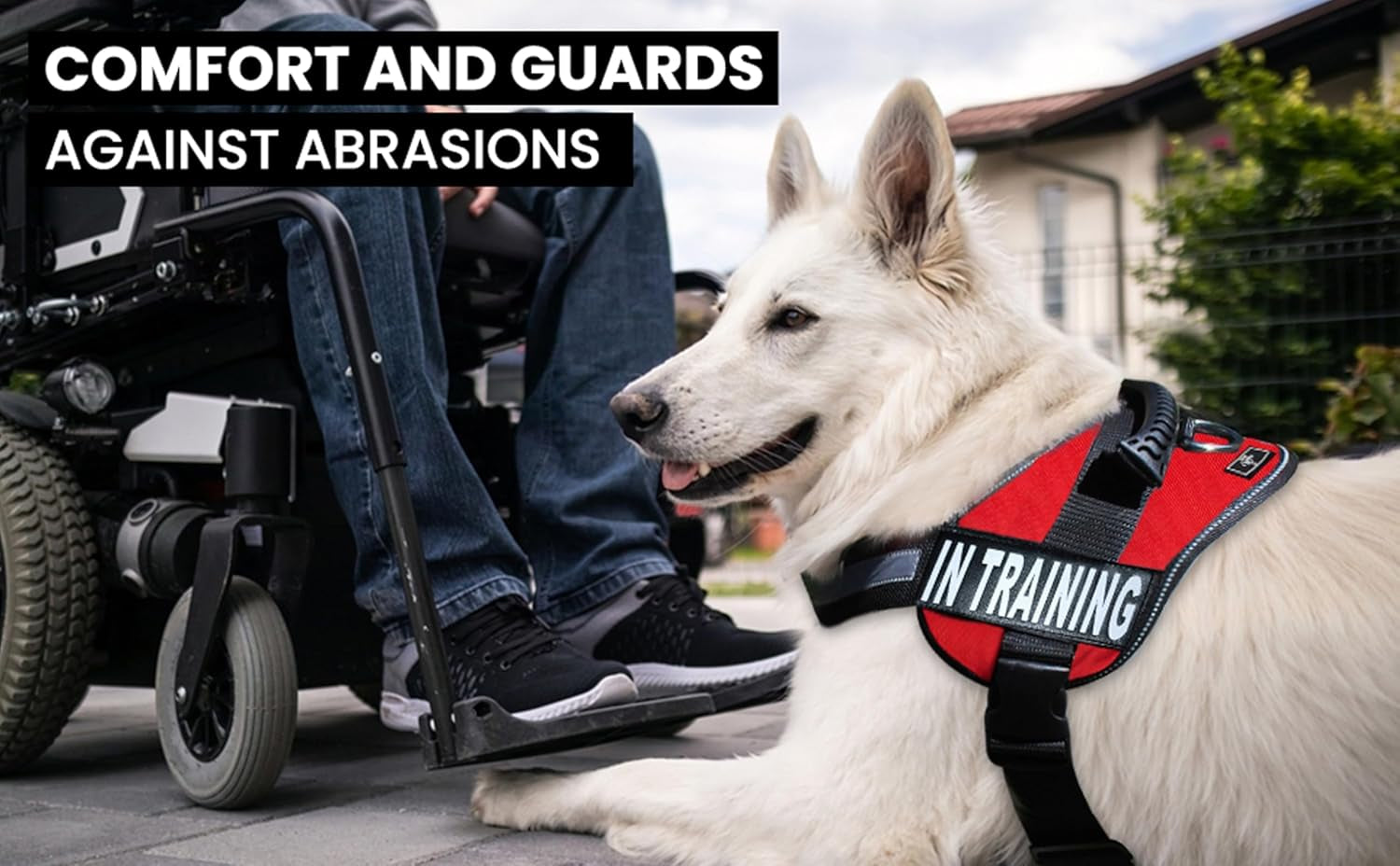 Service Dog in Training Vest - Adjustable No Pull Dog Harness with Patches. in Training Dog Vest for Service Dogs Small, Medium and Large Easy On/Off Dog in Training Harness for Service Dog Training