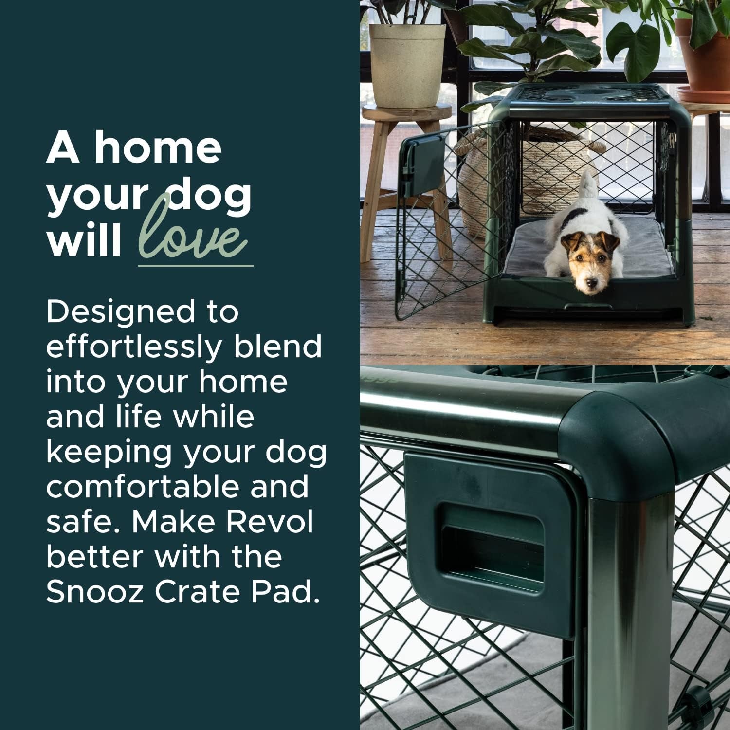 Revol Portable Dog Crate, Collapsible, Durable, Removable, 12.7Mm Gap, Suitable for Small Dogs and Puppies