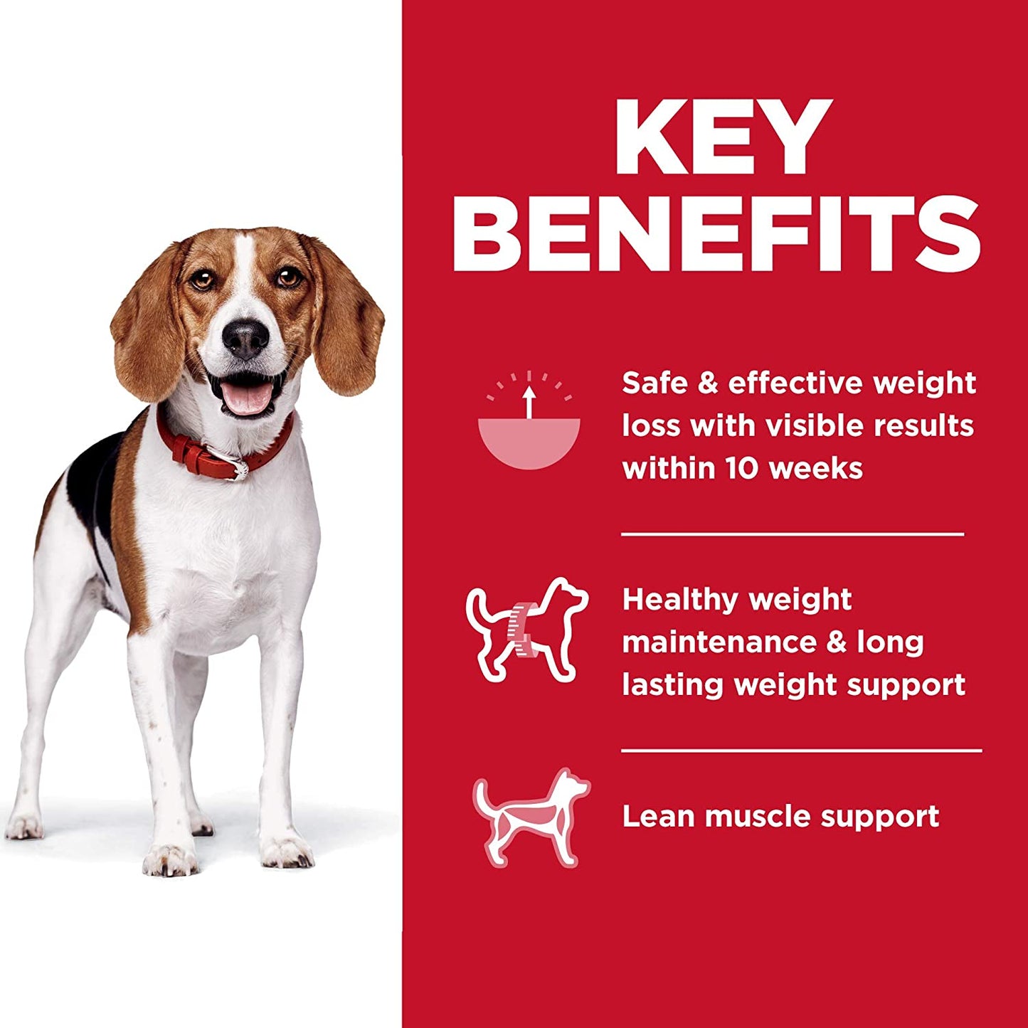 Dry Dog Food, Adult, Small Bites, Perfect Weight for Weight Management, Chicken Recipe, 15 Lb. Bag
