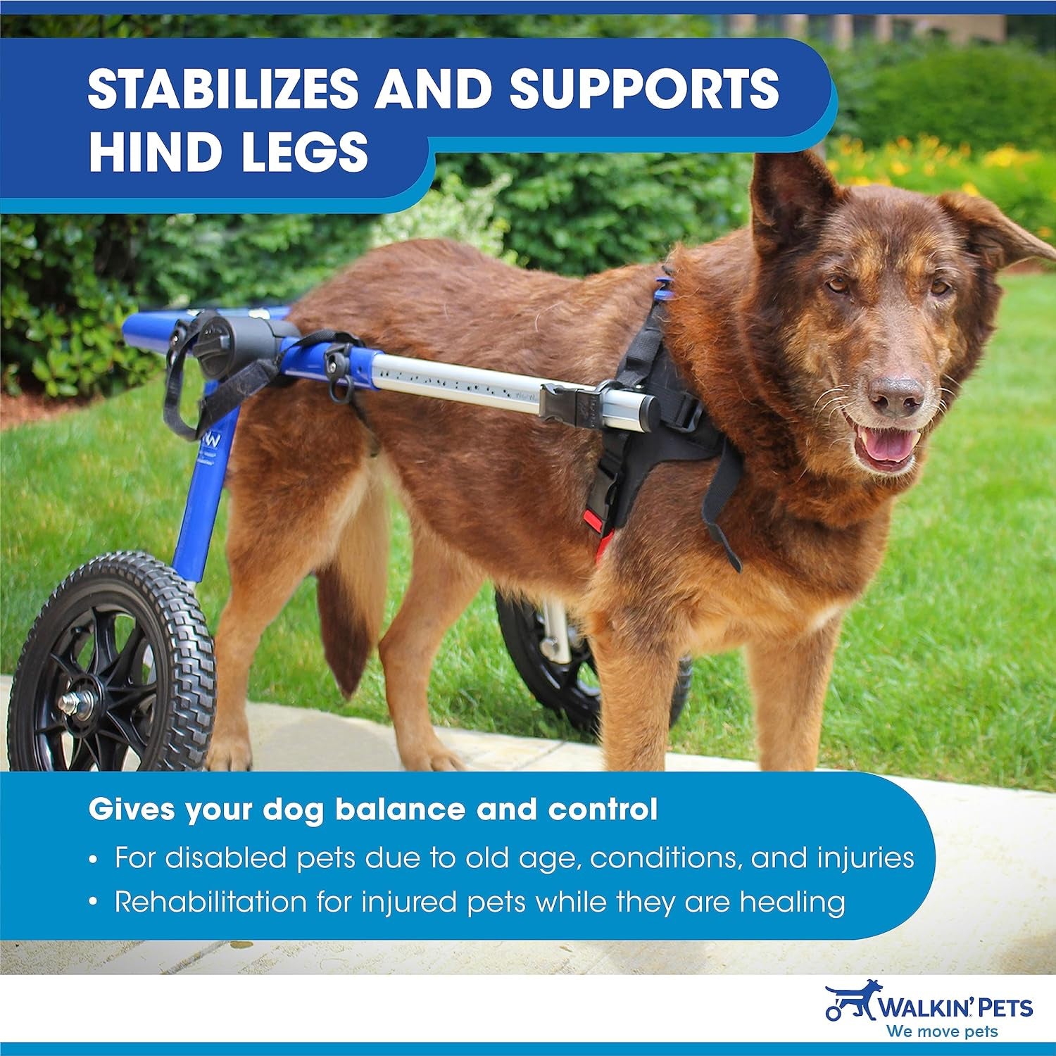 Dog Wheelchair - for Large Dogs 70-180 Pounds - Veterinarian Approved - Dog Wheelchair for Back Legs