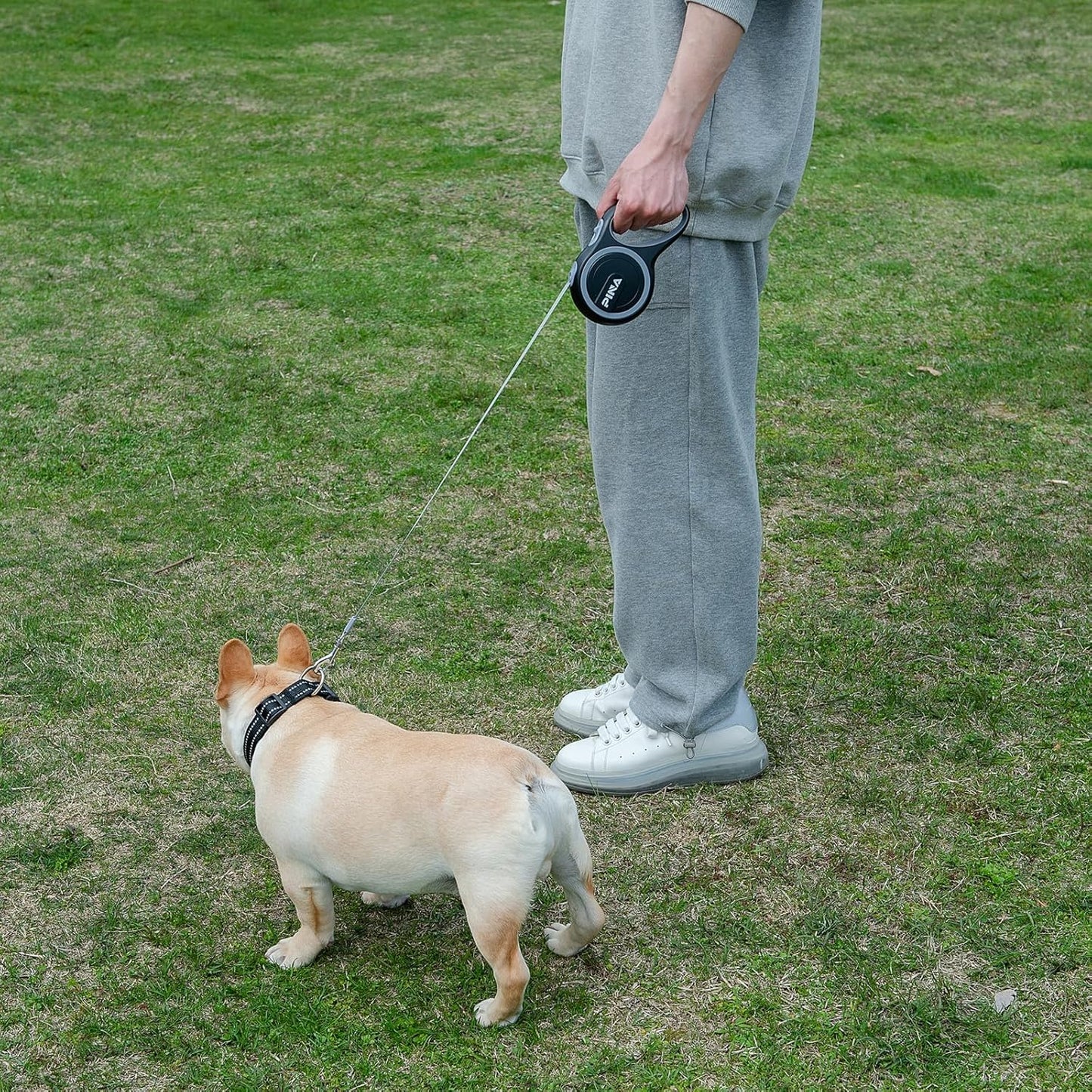 Retractable Dog Leash, 26Ft Dog Leash for Small Medium Large Dogs up to 110Lbs, 360° Tangle-Free Strong Reflective Nylon Tape, with Anti-Slip Handle, One-Handed Brake, Lock - Black Gray