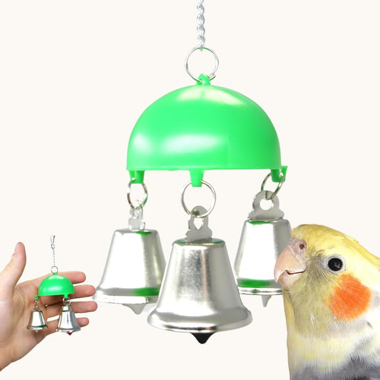 36458 Christmas Dome Bell Small Parrot Cage Toy, Parrotlet Budgie Canaries and Similar Breeds (Green)