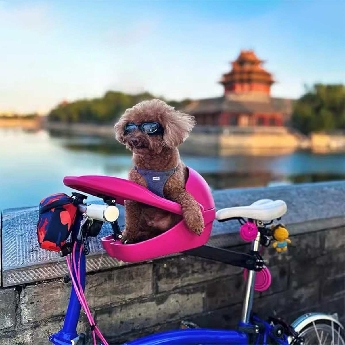 Dog Basket for Bike,Dog Bike Carrier,Bike Basket for Dogs Carriers & Travel Products, Easy to Clean Dog Bike Basket,Bicycle Basket for Medium Dog,Foldable Bike Basket Front for Dogs (Green)