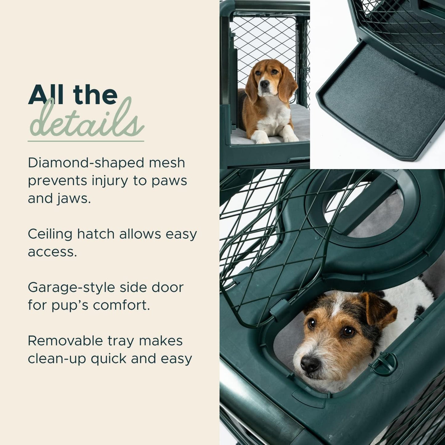 Revol Portable Dog Crate, Collapsible, Durable, Removable, 12.7Mm Gap, Suitable for Small Dogs and Puppies